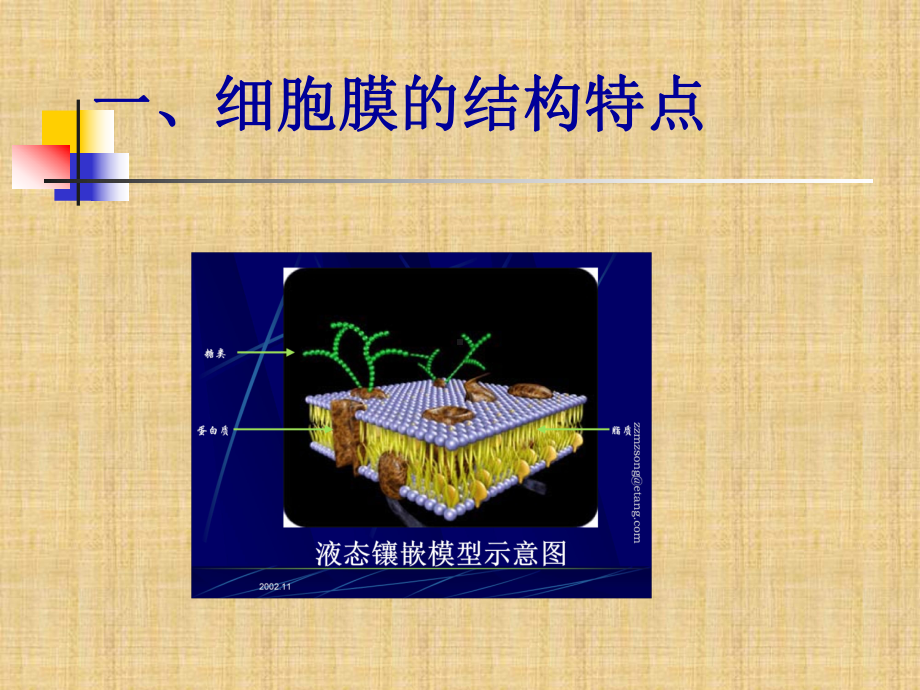 第二章鱼类生理学-细胞的基本功能gai精编版课件.ppt_第3页