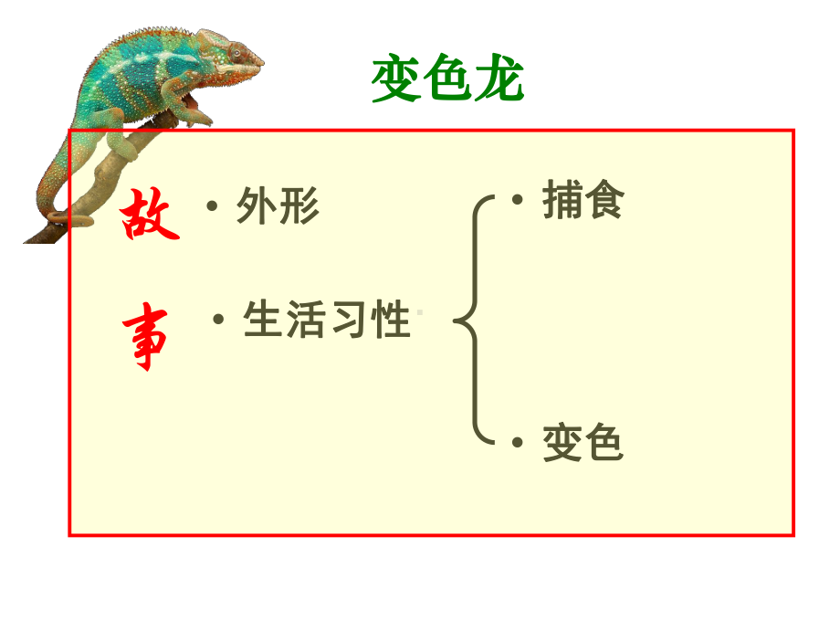 满分作文：家有宠物(第二课时)课件.ppt_第3页