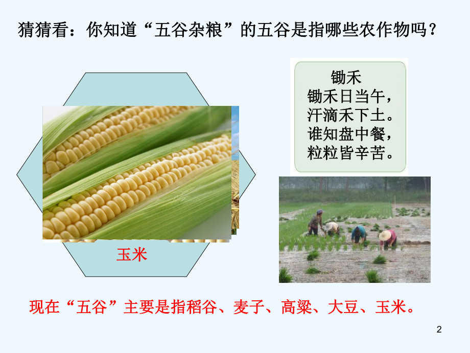 第四章第二节农业课件.ppt_第2页