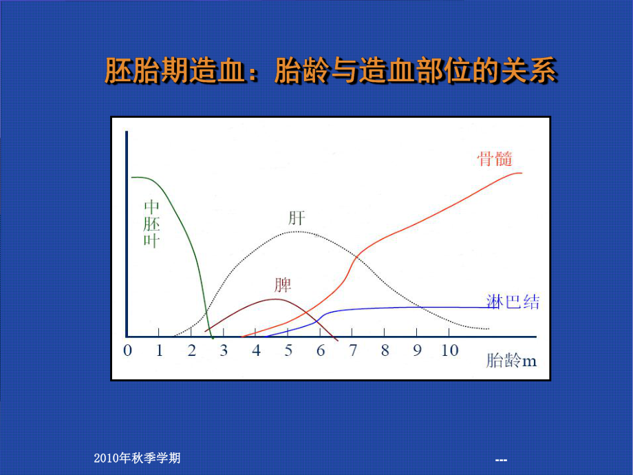 营养性缺铁性贫血患儿的护理课件.ppt_第2页