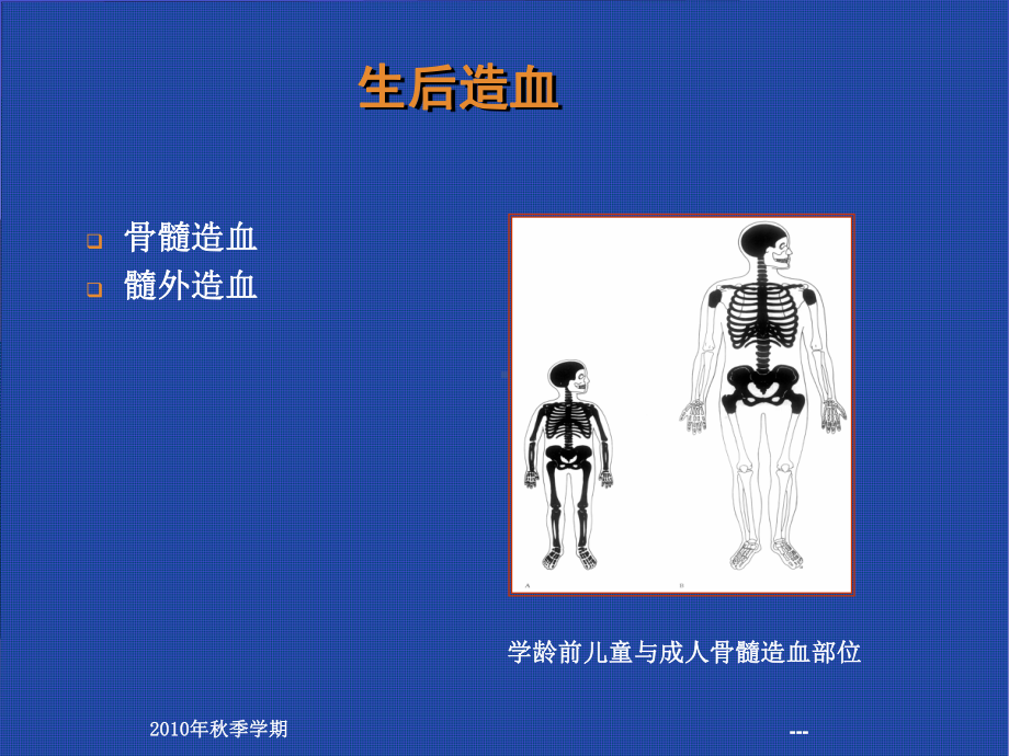 营养性缺铁性贫血患儿的护理课件.ppt_第3页