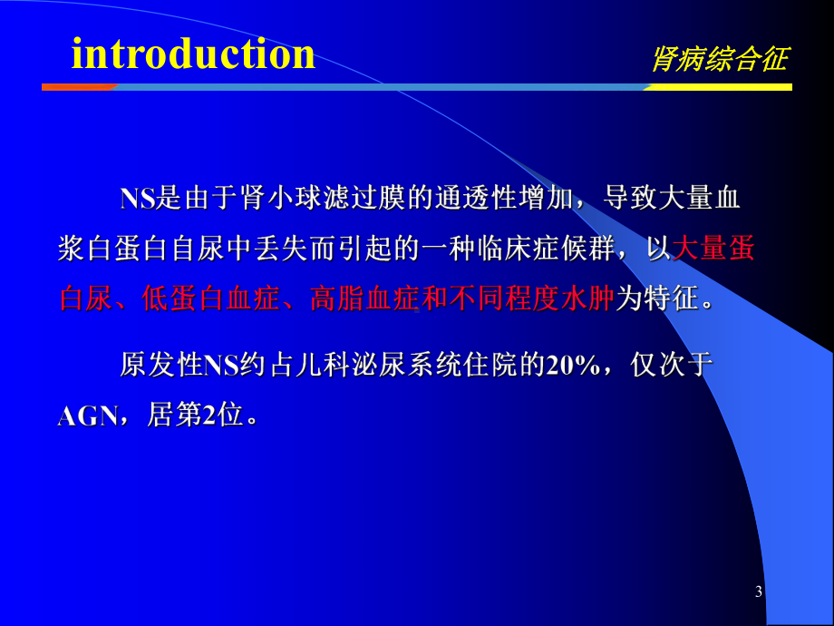 肾病讲课课件.ppt_第3页