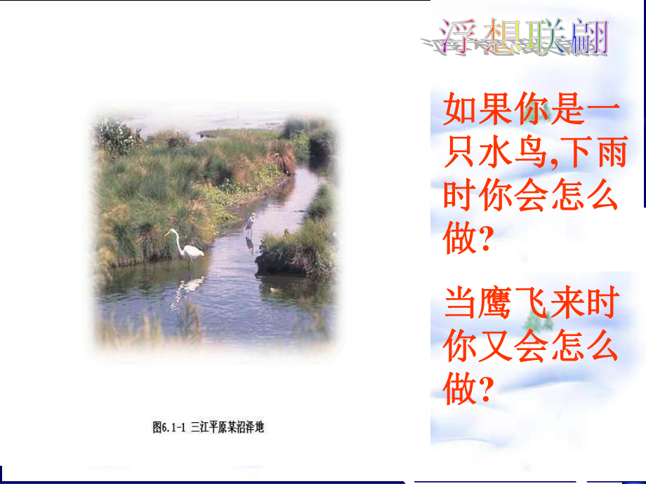 生物生态系统的组成课件.ppt_第2页