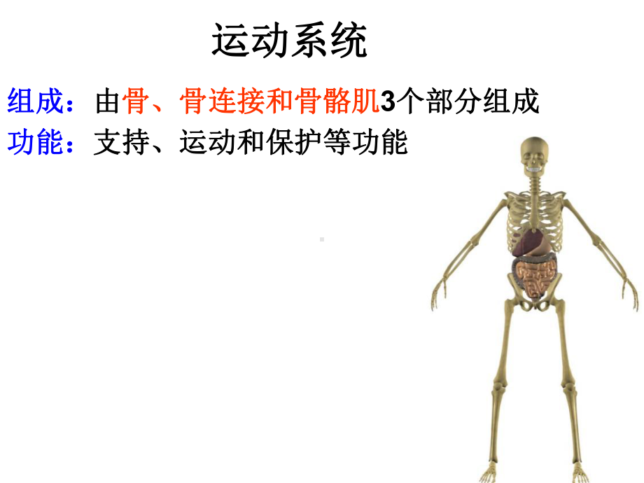 第二章第一节骨课件.ppt_第3页