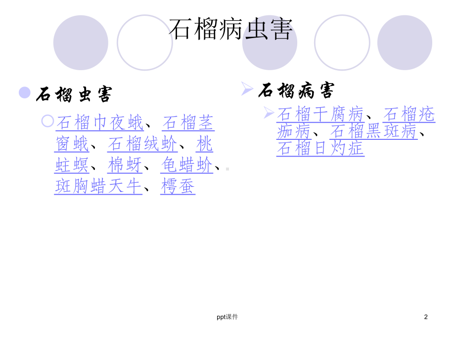 石榴常见病虫害一览表-课件.ppt_第2页