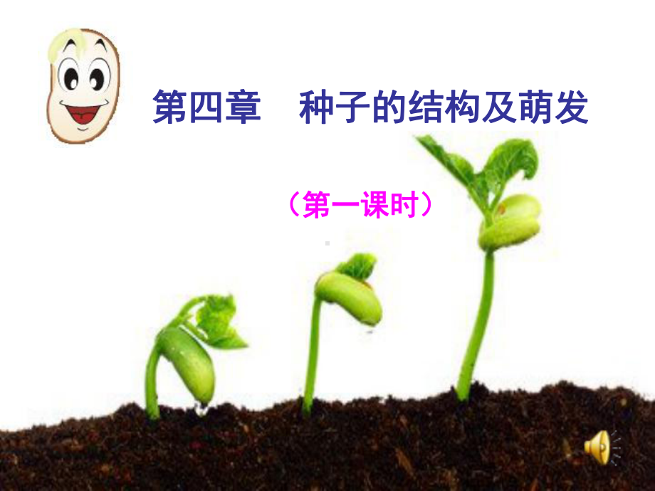 种子的结构及萌发初中生物课件.ppt_第1页