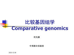 比较基因组学模板课件.ppt