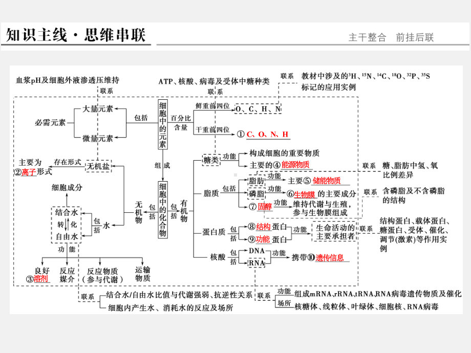 高考生物-二轮复习-专题一-细胞的物质基础课件.ppt_第2页