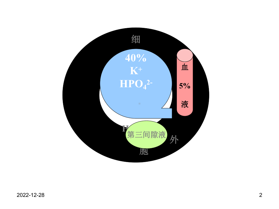 酸碱平衡障碍课件.ppt_第2页