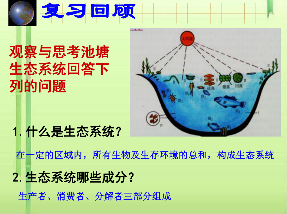 生态系统的结构和功能课件2-北师大版.ppt_第2页