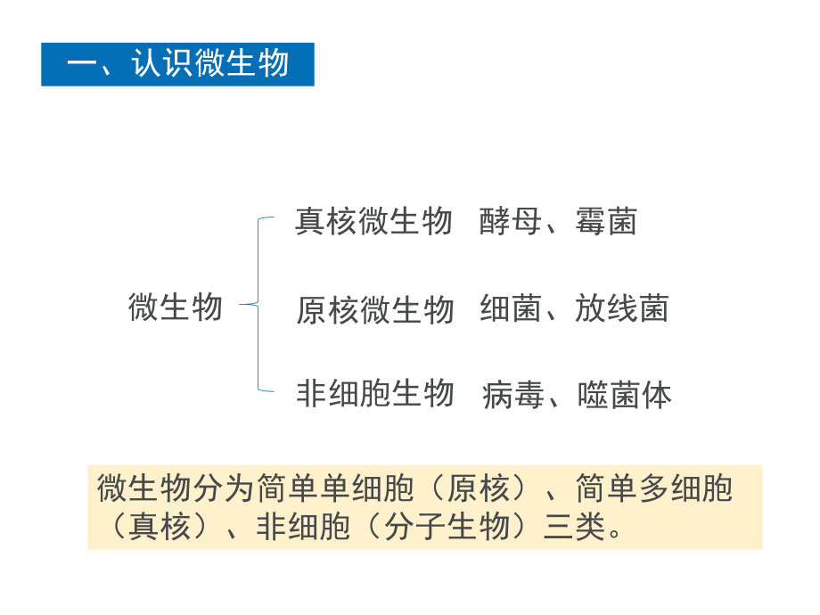 药学微生物-项目三-镜检技术123-微生物形态认识课件.ppt_第2页