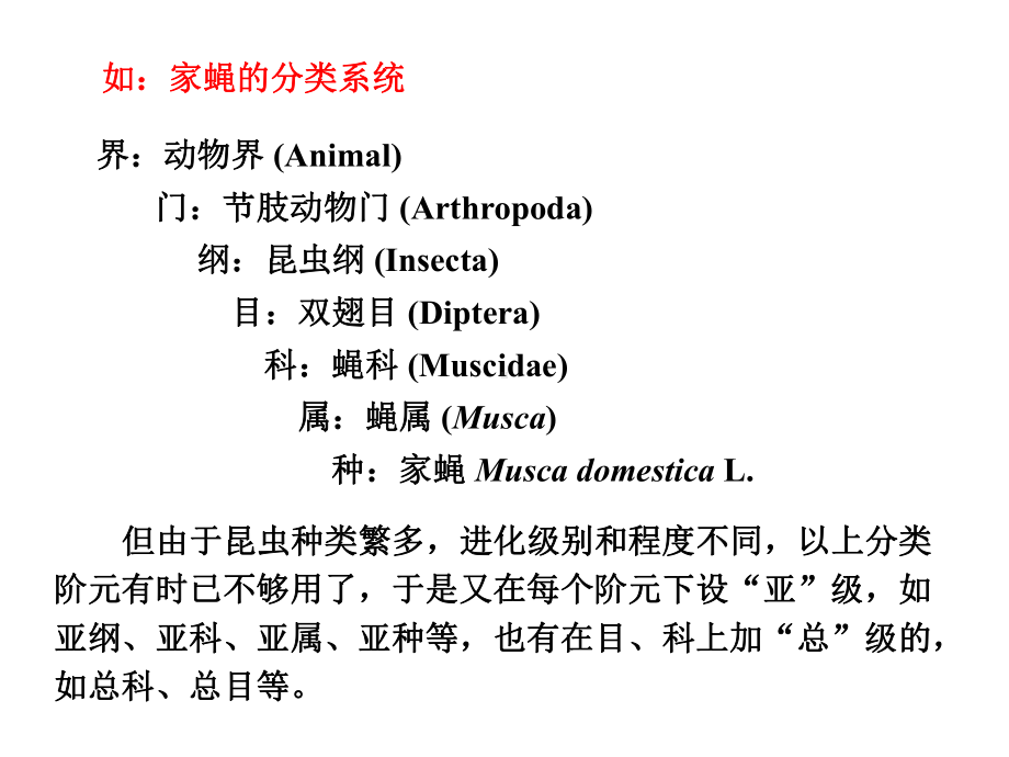 第四章-昆虫与螨分类课件.ppt_第3页