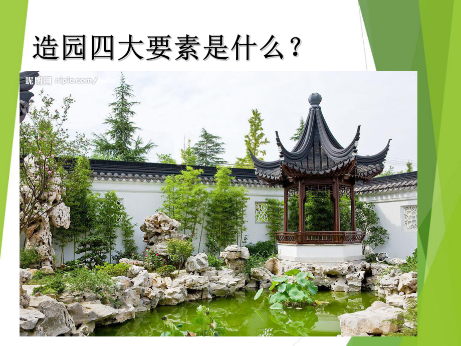 植物的观赏与造景课件.ppt_第2页