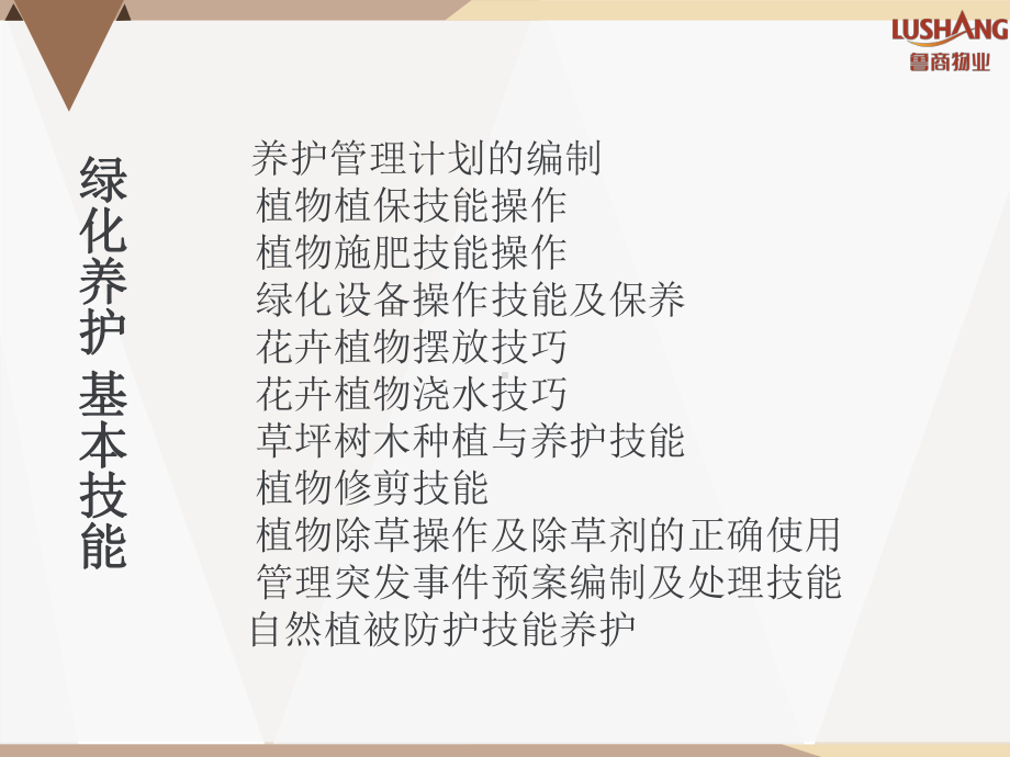 绿化养护培训课件.ppt_第3页