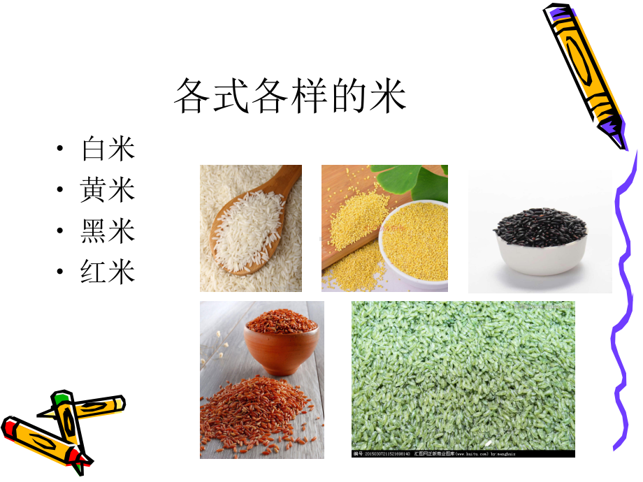 种子拼贴画课件.ppt_第3页