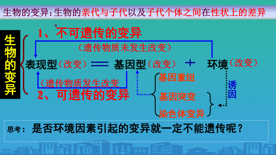 染色体变异(第一课时)(共30张)课件.ppt_第1页