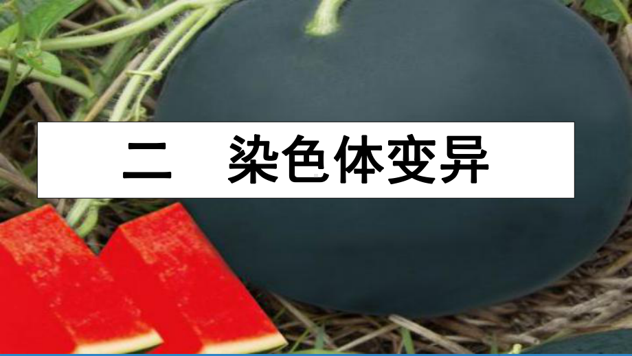 染色体变异(第一课时)(共30张)课件.ppt_第3页