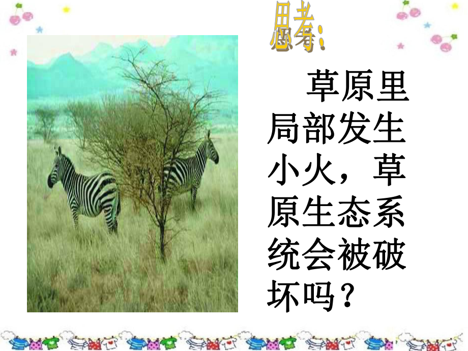 生态系统的自我调节课件-2.ppt_第1页