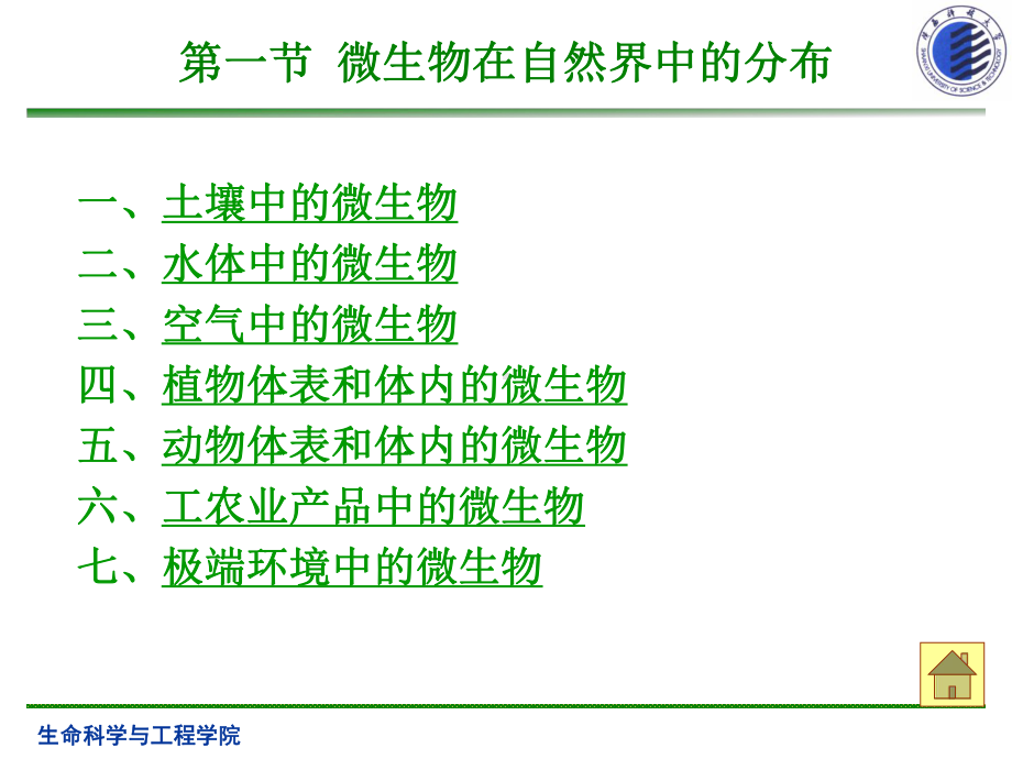 第六章微生物的生态课件.ppt_第2页