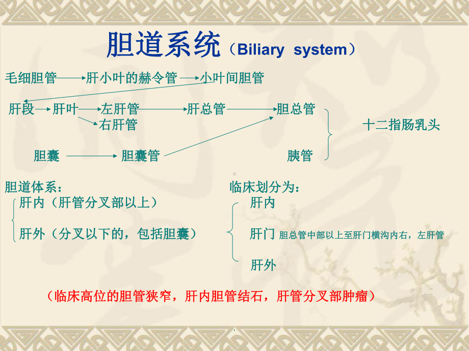 胆道解剖课件医学课件.ppt_第3页