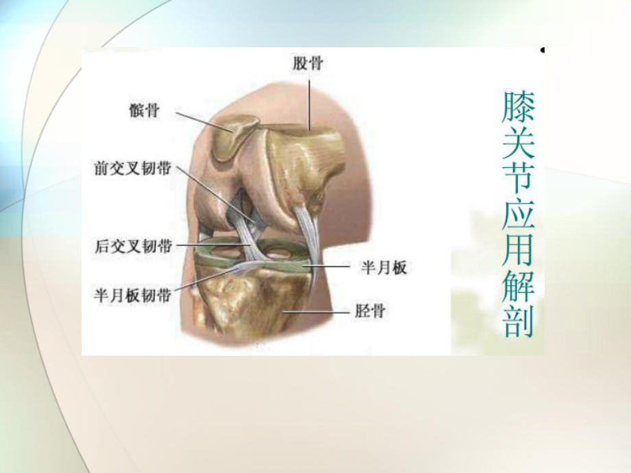 膝关节常见病的康复参考课件.ppt_第3页