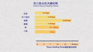 消化道吻合手术对缝针缝线的选择课件.pptx