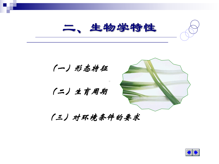 第四章绿叶类蔬菜课件.ppt_第3页