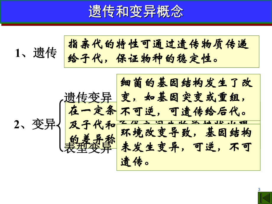 细菌的遗传与变异课件.ppt_第3页