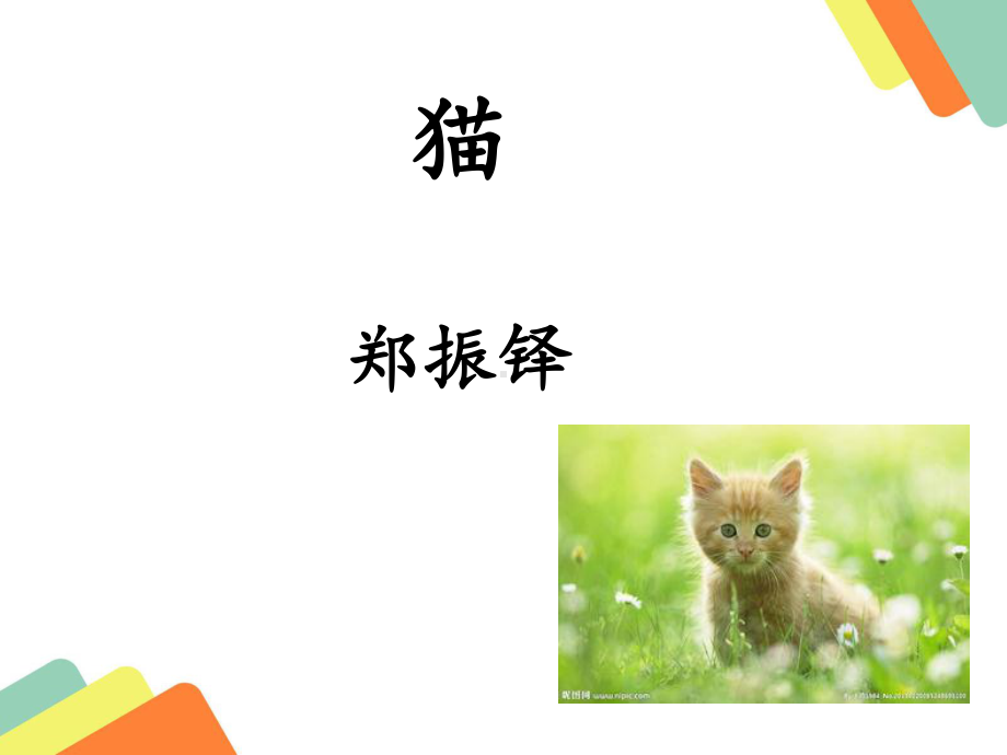 猫课件汇编.ppt_第1页