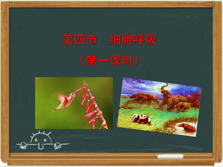 浙科版高中生物必修一《细胞呼吸》第一课时课件-新版.ppt_第1页