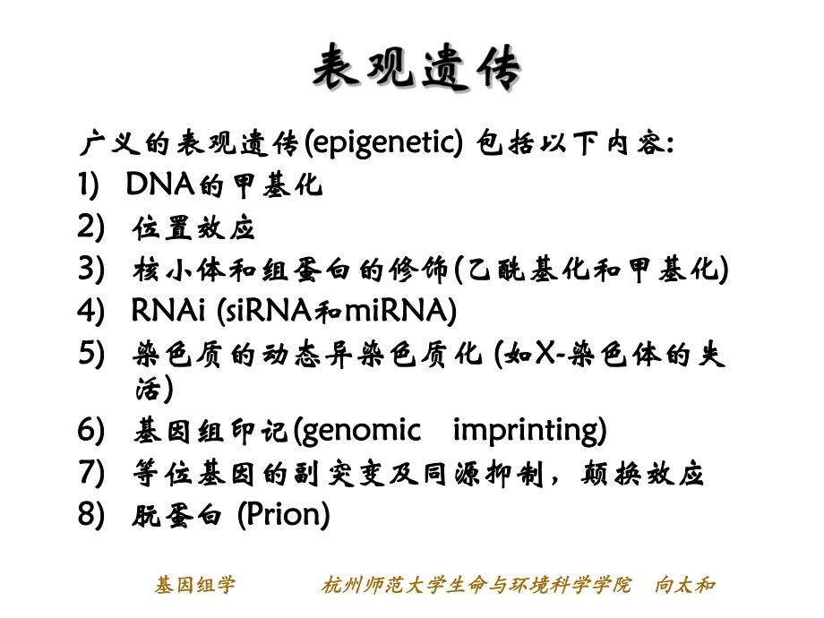 第七章-基因组功能课件.ppt_第3页