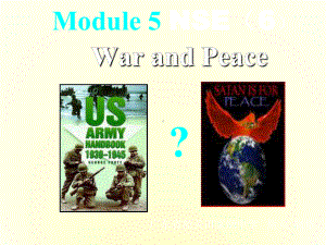 高中英语必修6Module-6-War-and-peace课件.ppt--（课件中不含音视频）