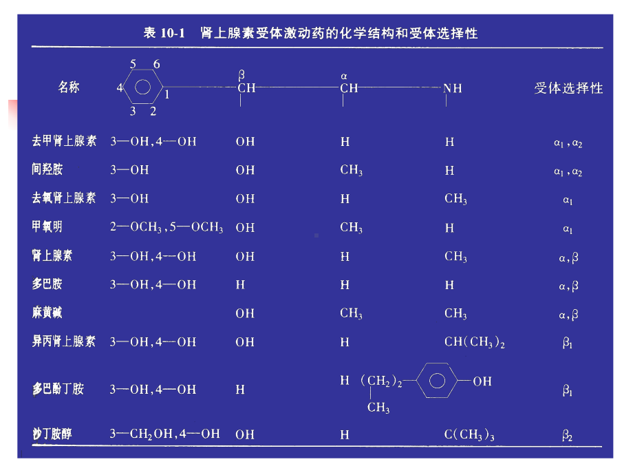 第十章-肾上腺素受体激动药课件.ppt_第3页