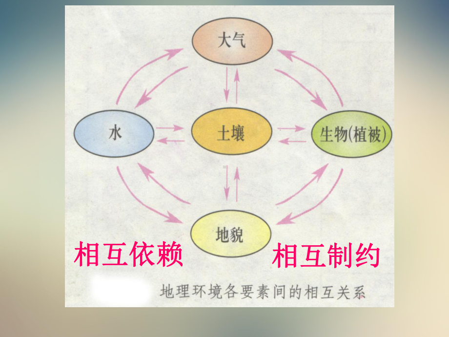 湘教版高中地理必修一第三章第一节《自然地理要素变化与环境变迁》优质课件)(共22张).ppt_第3页