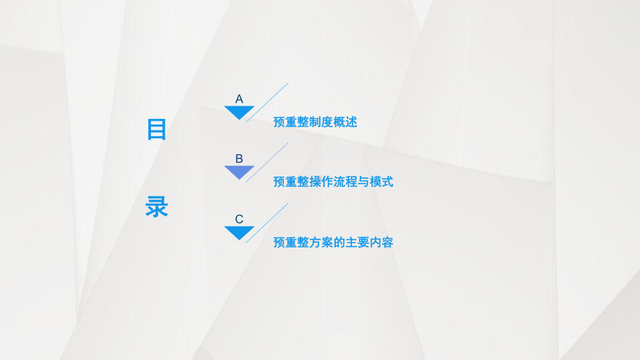 预重整方案模版课件.ppt_第2页