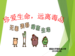 禁毒防毒主题班会课件1.ppt