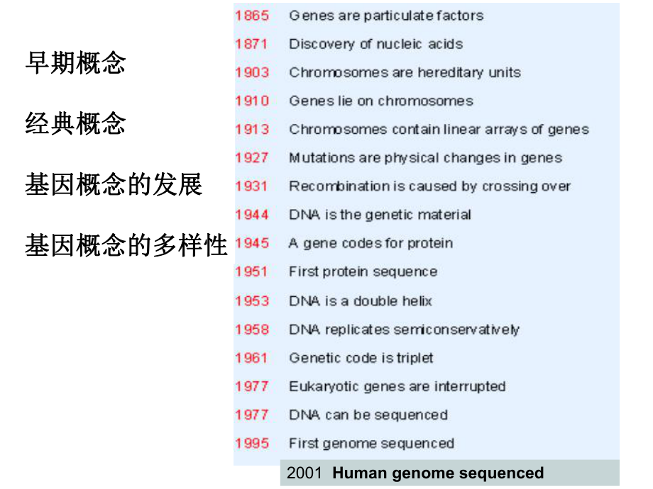 第二章基因的概念及发展课件.ppt_第3页