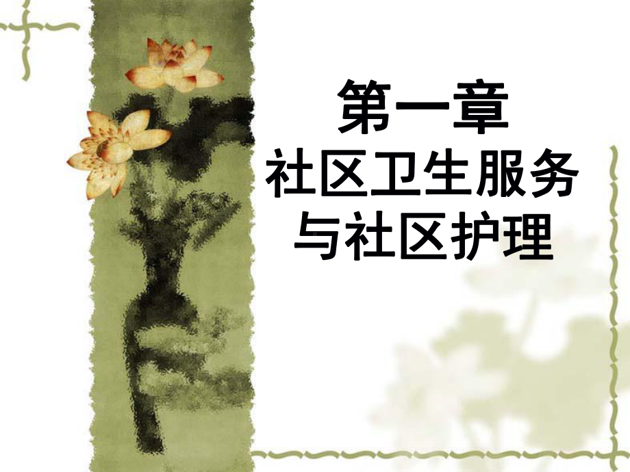 社区卫生服务与社区护理课件.ppt_第1页