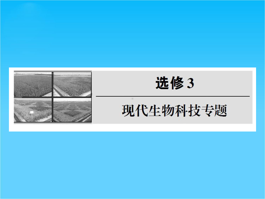 高考生物复习参考：《现代生物科技专题》课件.ppt_第1页