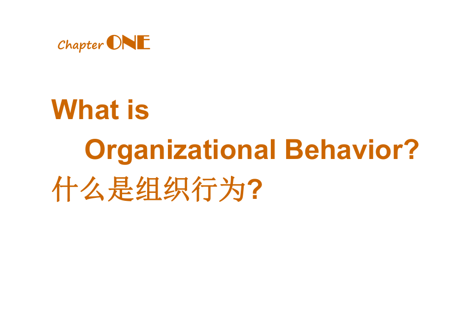 组织行为学1-OB导论课件.ppt_第2页