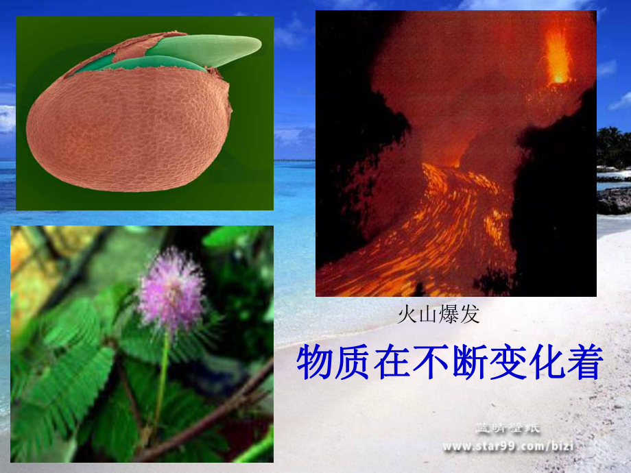 物质的变化课件.ppt_第3页