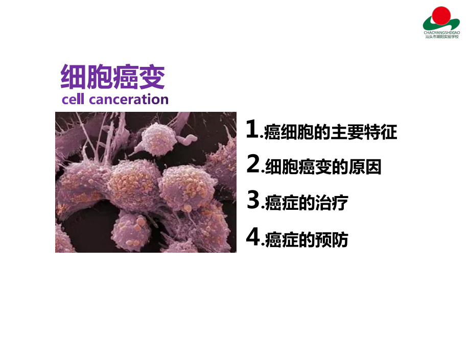 细胞的癌变课件2021届高考生物一轮复习.pptx_第2页