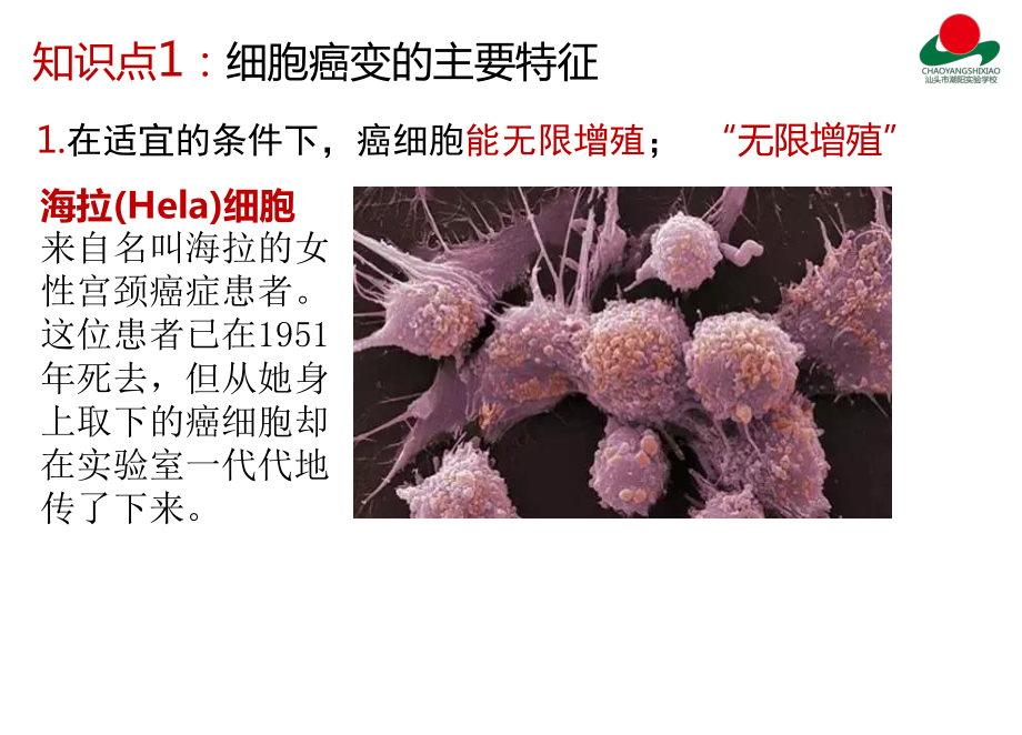 细胞的癌变课件2021届高考生物一轮复习.pptx_第3页