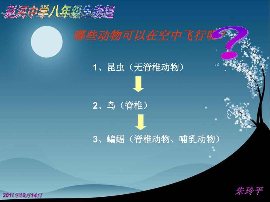 空中飞行的动物(16)课件.ppt_第2页