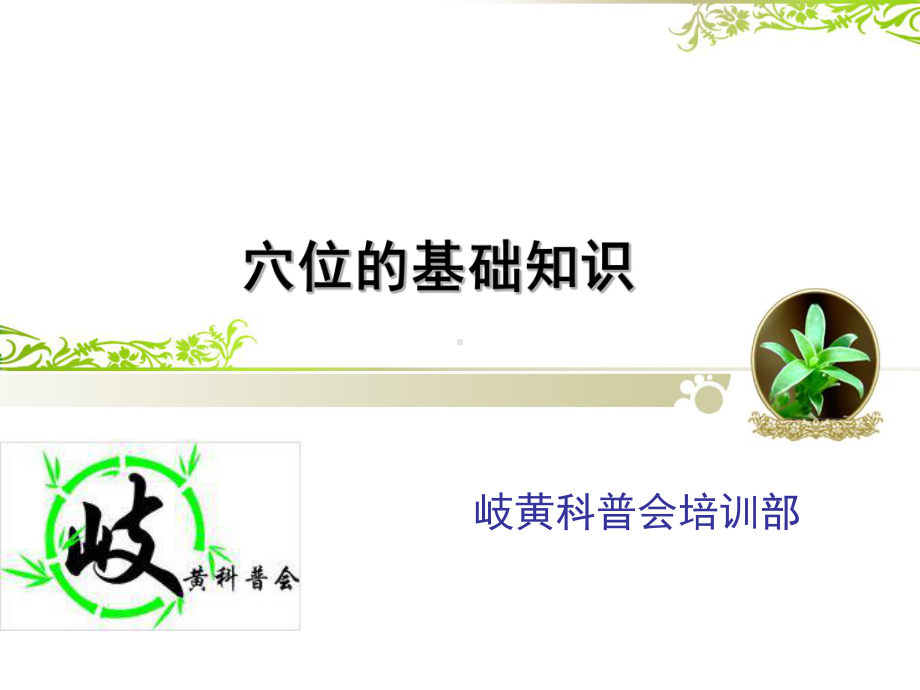 穴位的基础知识课件.ppt_第1页