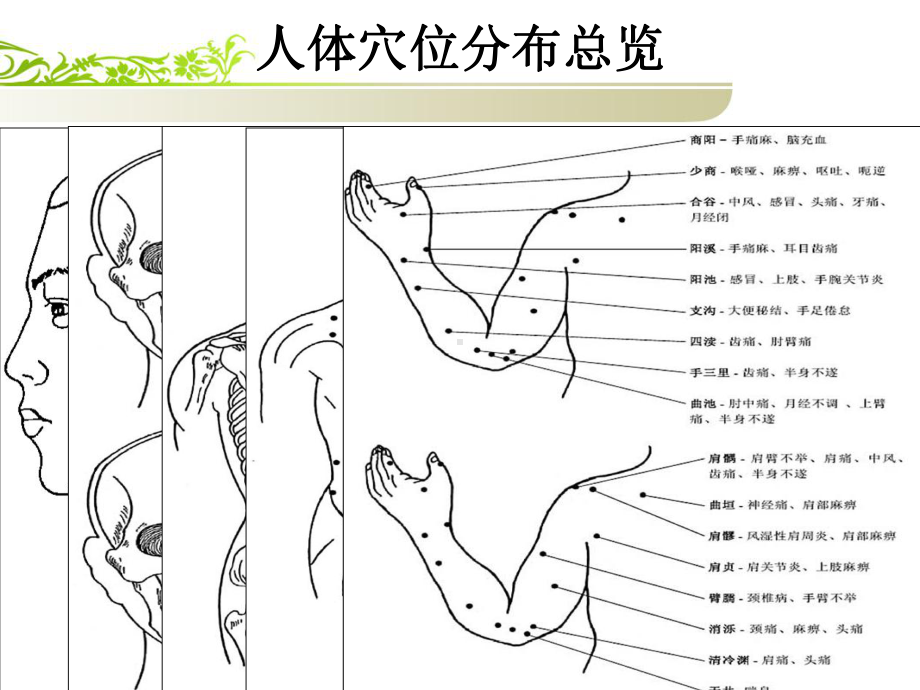 穴位的基础知识课件.ppt_第3页