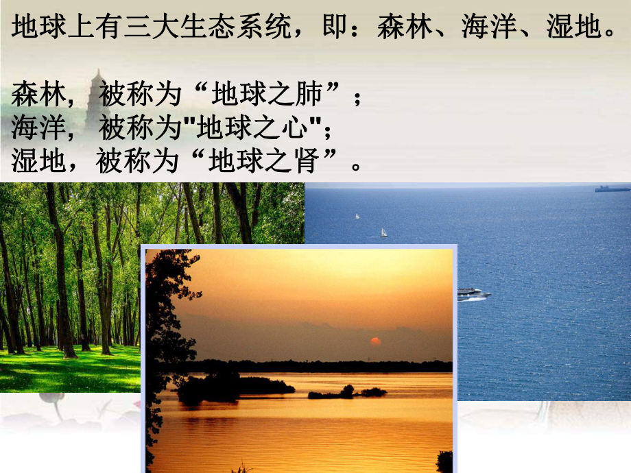 湘教版-湿地资源的开发与保护课件.ppt_第2页