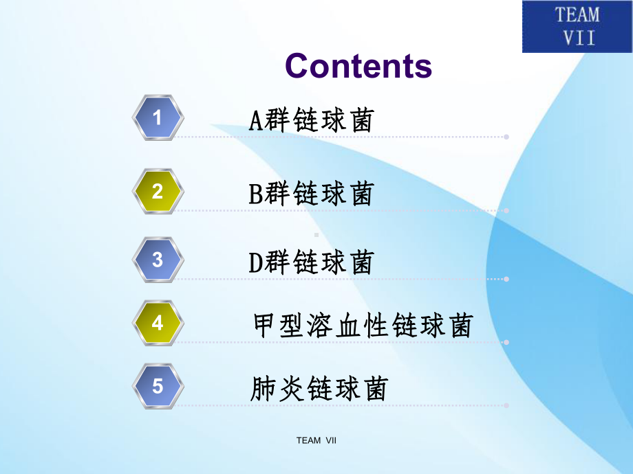 链球菌属の致病性课件.ppt_第2页