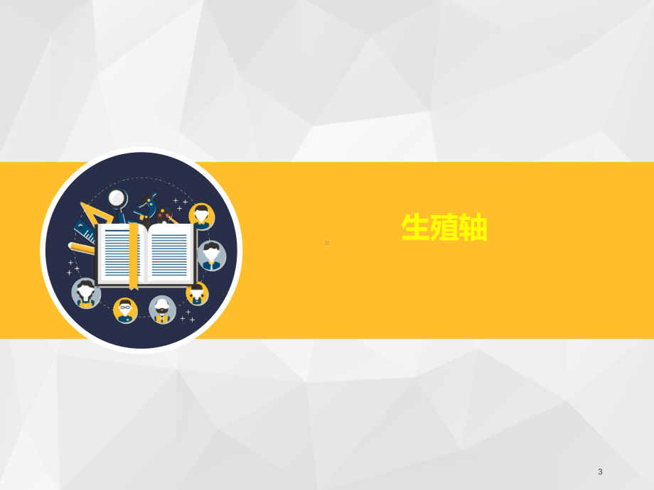 生殖内分泌基础课件.ppt_第3页