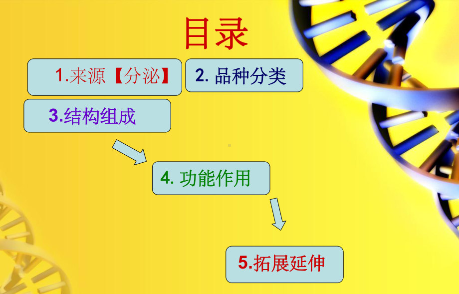 胰岛素专题-课件.ppt_第3页